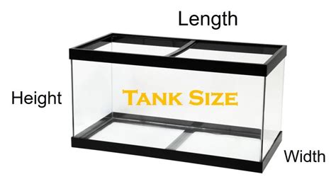50 gallon fish tank size|What Are the Dimensions of a 50 Gallon Aquarium and Tips for .